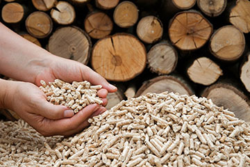 China to boost biomass energy development in 2016-2020 | CKIC